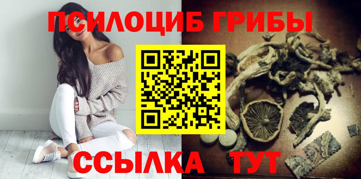 Темрюк  Галлюциногенные грибы мицелий  Псилоцибиновые грибы MAGIC MUSHROOMS  Вход с VPN 