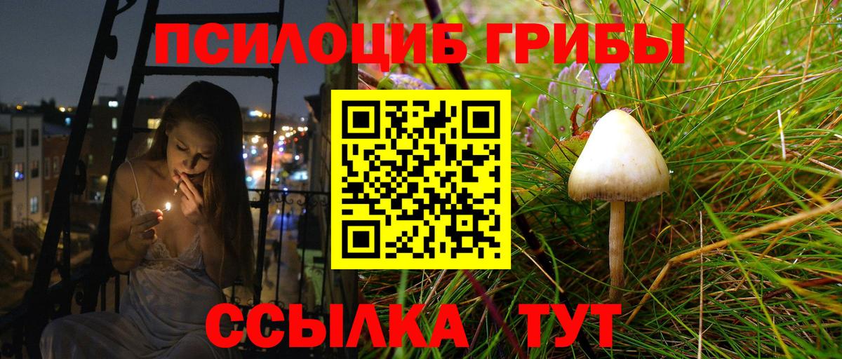 Псилоцибиновые грибы GOLDEN TEACHER Темрюк